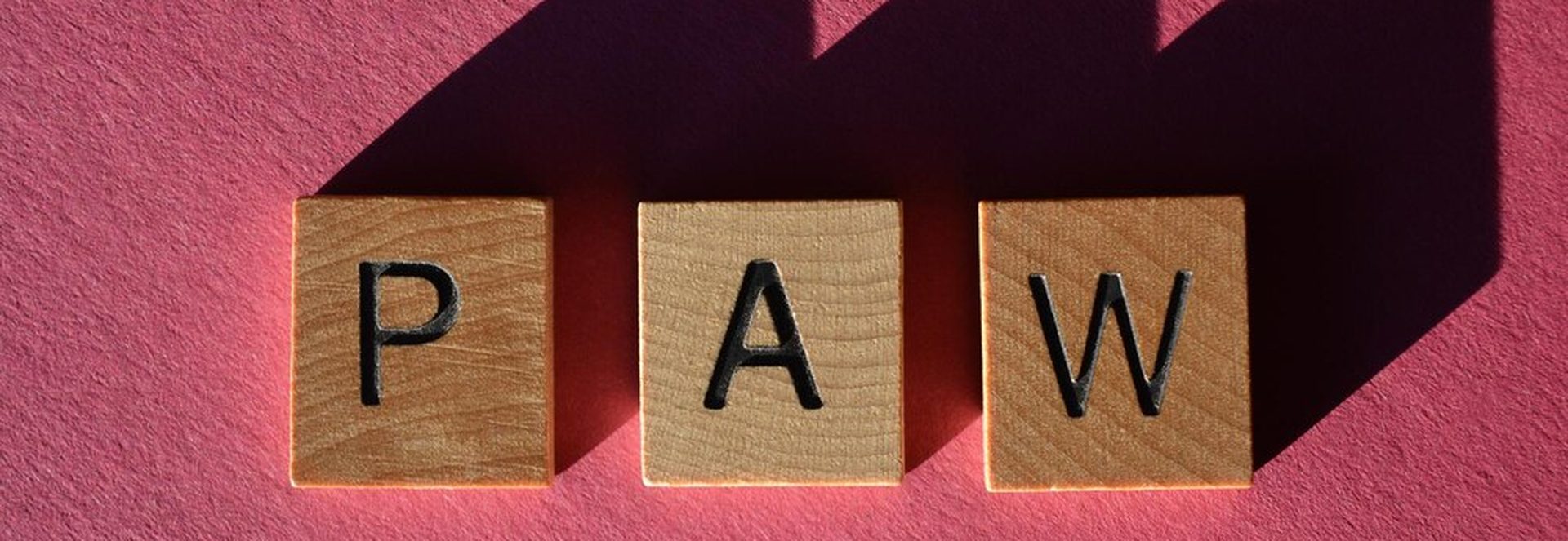 Les nouvelles fonctionnalités de Power BI et Tableau : quelles implications pour les PME ?